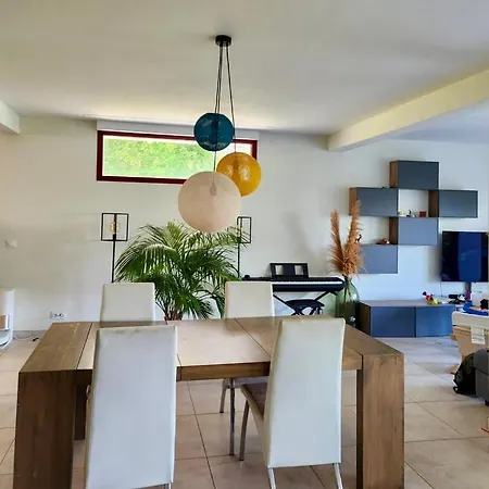 Grande Maison Avec Jardin Nyaraló Bayonne
